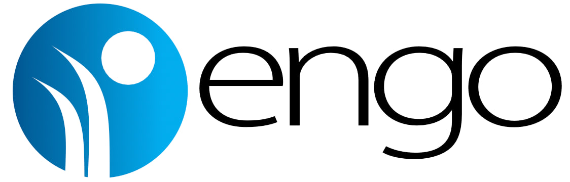 ENGO Kazakhstan Logo