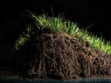 GreenFields XtraGrass